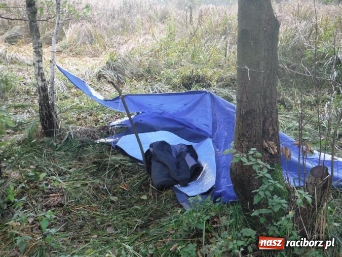 Zdjęcie w galerii na portalu naszraciborz.pl: W lasach rudzkich odbył się kurs z technik przetrwania wiadomości z regionu