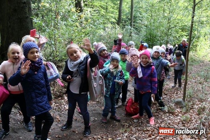 Zdjęcie w galerii na portalu naszraciborz.pl: Trwa konkurs Eko Odkrywcy 3. Nagrodą specjalną wyjazd na zieloną szkołę! wiadomości z regionu