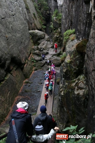 Zdjęcie w galerii na portalu naszraciborz.pl: Trwa konkurs Eko Odkrywcy 3. Nagrodą specjalną wyjazd na zieloną szkołę! wiadomości z regionu