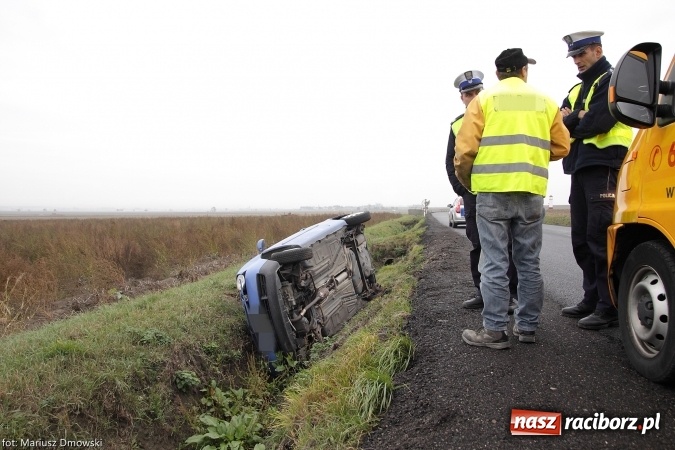 Zdjęcie w galerii na portalu naszraciborz.pl: Sarna powodem zdarzenia na trasie Racibórz-Bieńkowice wiadomości z regionu