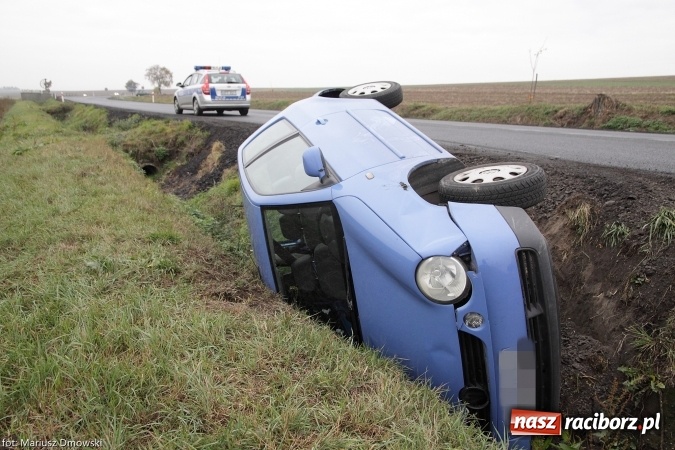 Zdjęcie w galerii na portalu naszraciborz.pl: Sarna powodem zdarzenia na trasie Racibórz-Bieńkowice wiadomości z regionu