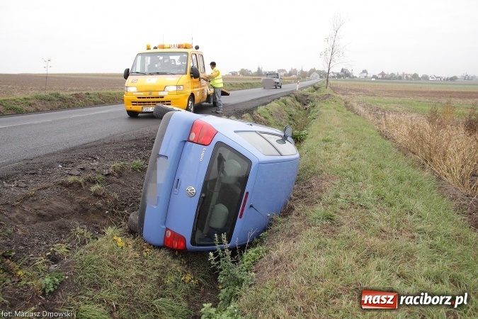 Zdjęcie w galerii na portalu naszraciborz.pl: Sarna powodem zdarzenia na trasie Racibórz-Bieńkowice wiadomości z regionu