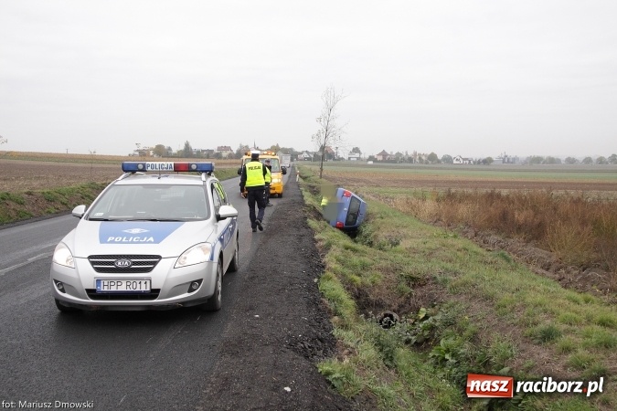 Zdjęcie w galerii na portalu naszraciborz.pl: Sarna powodem zdarzenia na trasie Racibórz-Bieńkowice wiadomości z regionu