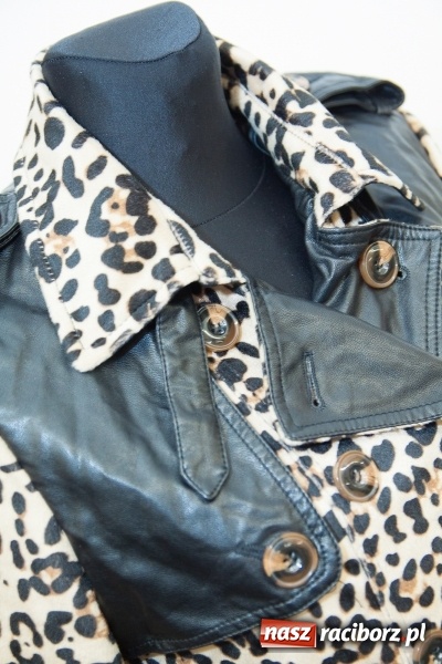 Zdjęcie w galerii na portalu naszraciborz.pl: Halloweenowe nocne szperanie w Robanie wiadomości z regionu