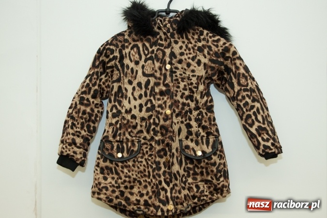 Zdjęcie w galerii na portalu naszraciborz.pl: Halloweenowe nocne szperanie w Robanie wiadomości z regionu