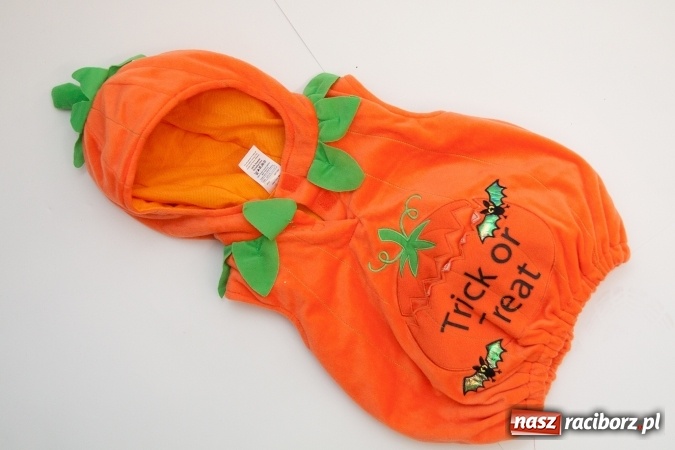 Zdjęcie w galerii na portalu naszraciborz.pl: Halloweenowe nocne szperanie w Robanie wiadomości z regionu