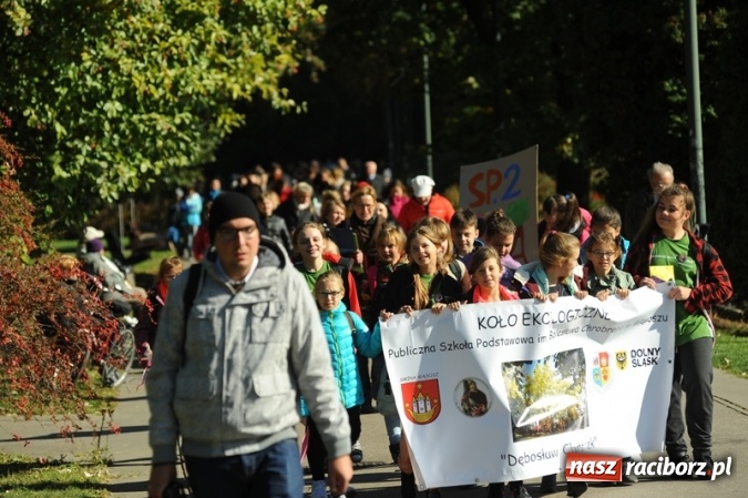 Zdjęcie w galerii na portalu naszraciborz.pl: Czarodziejskie drzewo dla Rafako wiadomości z regionu