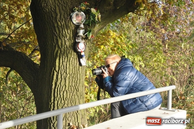 Zdjęcie w galerii na portalu naszraciborz.pl: Elżbieta Dzikowska na tropie najciekawszych miejsc ziemi raciborskiej wiadomości z regionu