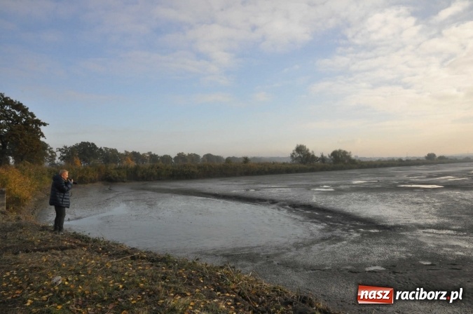 Zdjęcie w galerii na portalu naszraciborz.pl: Elżbieta Dzikowska na tropie najciekawszych miejsc ziemi raciborskiej wiadomości z regionu
