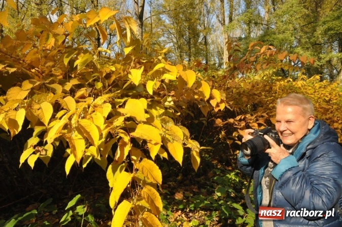 Zdjęcie w galerii na portalu naszraciborz.pl: Elżbieta Dzikowska na tropie najciekawszych miejsc ziemi raciborskiej wiadomości z regionu