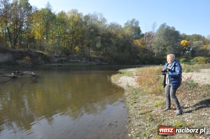 Zdjęcie w galerii na portalu naszraciborz.pl: Elżbieta Dzikowska na tropie najciekawszych miejsc ziemi raciborskiej wiadomości z regionu