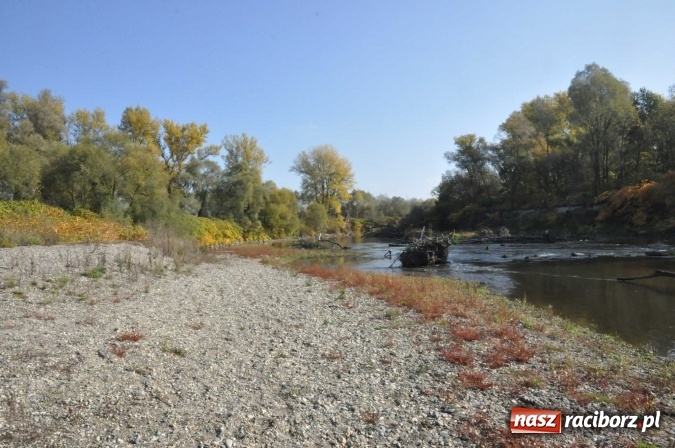 Zdjęcie w galerii na portalu naszraciborz.pl: Elżbieta Dzikowska na tropie najciekawszych miejsc ziemi raciborskiej wiadomości z regionu