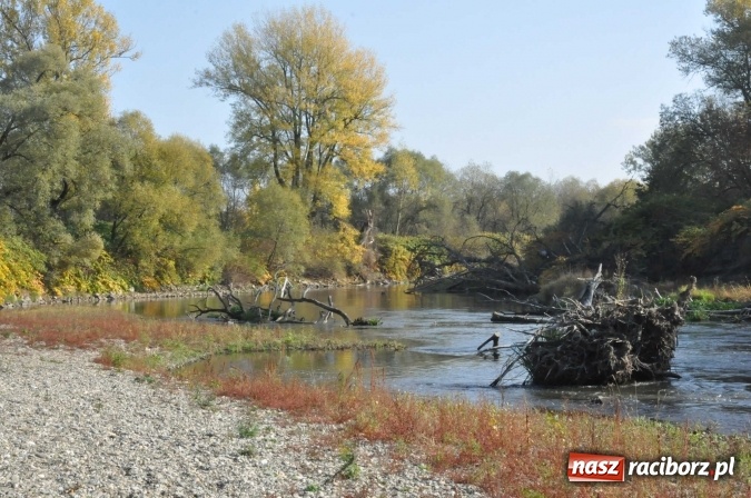 Zdjęcie w galerii na portalu naszraciborz.pl: Elżbieta Dzikowska na tropie najciekawszych miejsc ziemi raciborskiej wiadomości z regionu