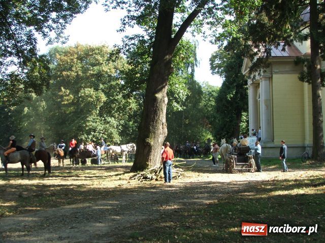 Zdjęcie w galerii na portalu naszraciborz.pl: Hubertus w Krowiarkach wiadomości z regionu