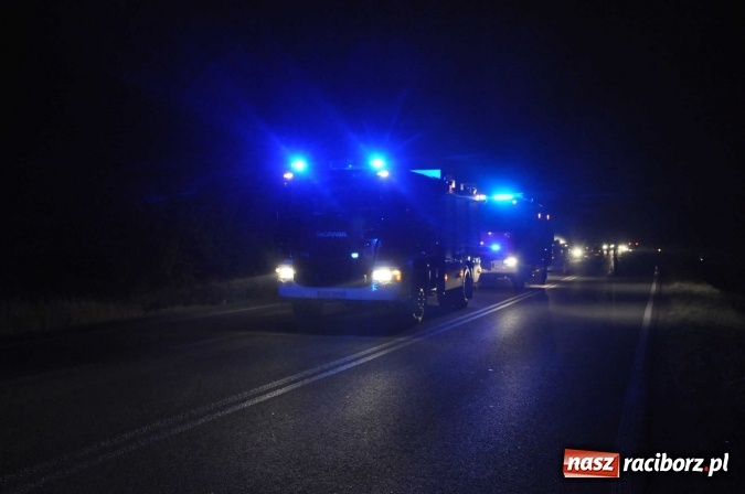 Zdjęcie w galerii na portalu naszraciborz.pl: Dwa volkswageny zderzyły się przy moście na Uldze wiadomości z regionu