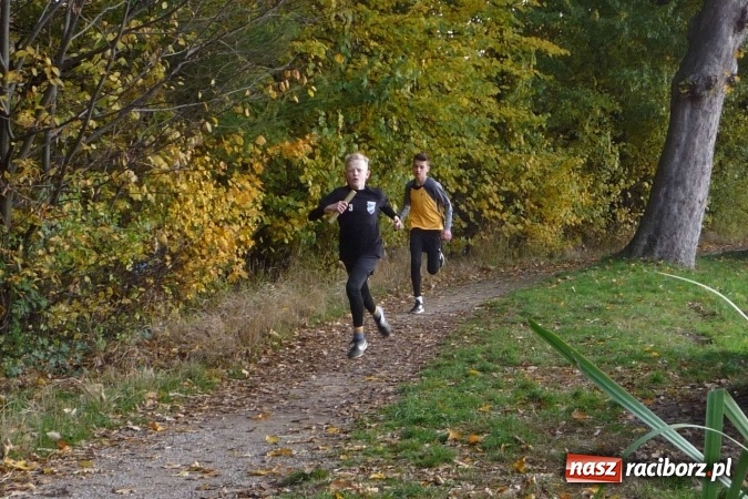 Zdjęcie w galerii na portalu naszraciborz.pl: Rejonowe Sztafetowe Biegi Przełajowe - w Tworkowie walczono o awans do finału wojewódzkiego  wiadomości z regionu