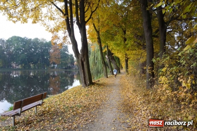 Zdjęcie w galerii na portalu naszraciborz.pl: Rejonowe Sztafetowe Biegi Przełajowe - w Tworkowie walczono o awans do finału wojewódzkiego  wiadomości z regionu