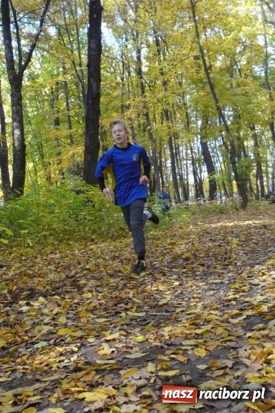 Zdjęcie w galerii na portalu naszraciborz.pl: Rejonowe Sztafetowe Biegi Przełajowe - w Tworkowie walczono o awans do finału wojewódzkiego  wiadomości z regionu
