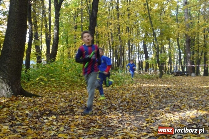 Zdjęcie w galerii na portalu naszraciborz.pl: Rejonowe Sztafetowe Biegi Przełajowe - w Tworkowie walczono o awans do finału wojewódzkiego  wiadomości z regionu
