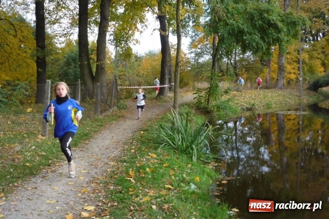 Zdjęcie w galerii na portalu naszraciborz.pl: Rejonowe Sztafetowe Biegi Przełajowe - w Tworkowie walczono o awans do finału wojewódzkiego  wiadomości z regionu