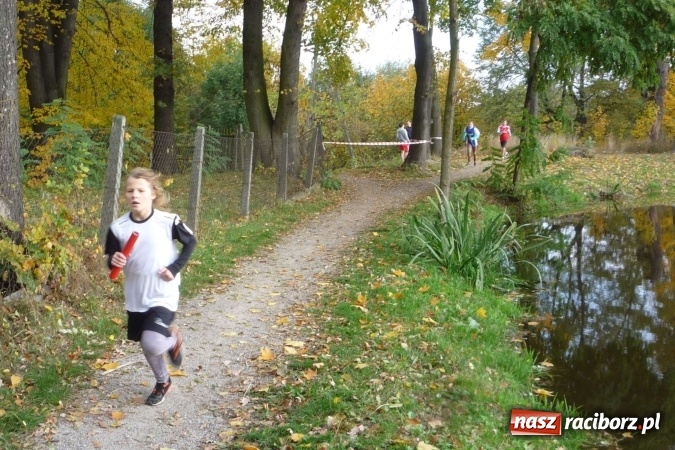 Zdjęcie w galerii na portalu naszraciborz.pl: Rejonowe Sztafetowe Biegi Przełajowe - w Tworkowie walczono o awans do finału wojewódzkiego  wiadomości z regionu