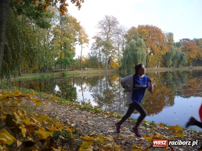 Zdjęcie w galerii na portalu naszraciborz.pl: Rejonowe Sztafetowe Biegi Przełajowe - w Tworkowie walczono o awans do finału wojewódzkiego  wiadomości z regionu