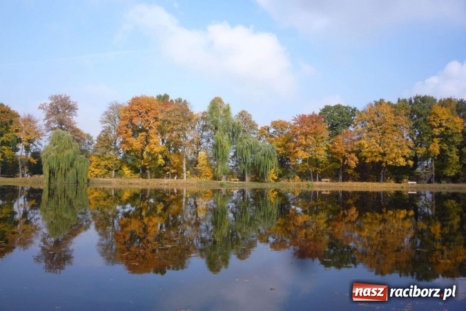 Zdjęcie w galerii na portalu naszraciborz.pl: Rejonowe Sztafetowe Biegi Przełajowe - w Tworkowie walczono o awans do finału wojewódzkiego  wiadomości z regionu