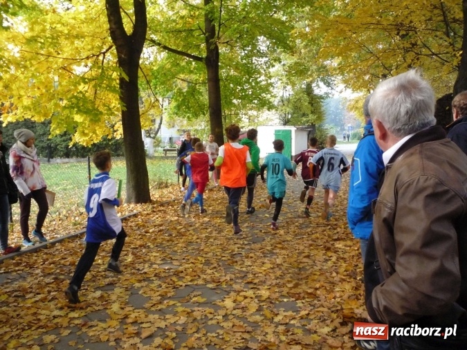 Zdjęcie w galerii na portalu naszraciborz.pl: Rejonowe Sztafetowe Biegi Przełajowe - w Tworkowie walczono o awans do finału wojewódzkiego  wiadomości z regionu