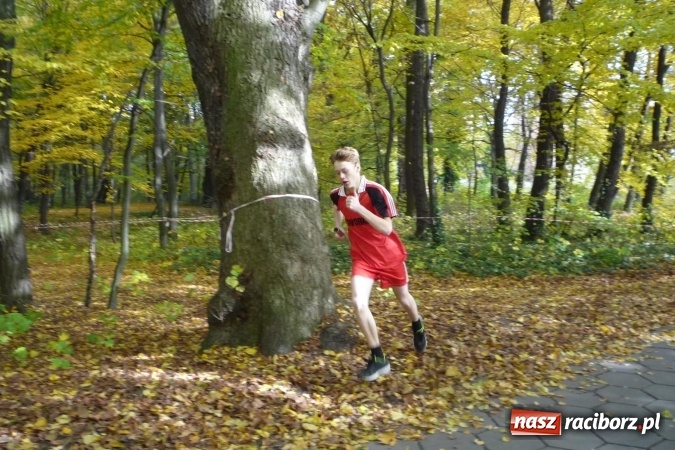 Zdjęcie w galerii na portalu naszraciborz.pl: Rejonowe Sztafetowe Biegi Przełajowe - w Tworkowie walczono o awans do finału wojewódzkiego  wiadomości z regionu