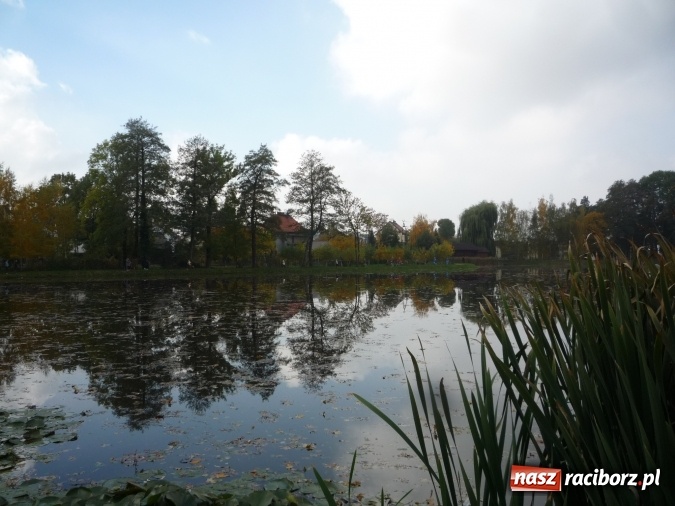 Zdjęcie w galerii na portalu naszraciborz.pl: Rejonowe Sztafetowe Biegi Przełajowe - w Tworkowie walczono o awans do finału wojewódzkiego  wiadomości z regionu