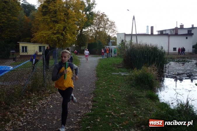 Zdjęcie w galerii na portalu naszraciborz.pl: Rejonowe Sztafetowe Biegi Przełajowe - w Tworkowie walczono o awans do finału wojewódzkiego  wiadomości z regionu
