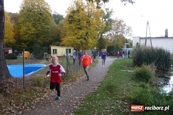 Zdjęcie w galerii na portalu naszraciborz.pl: Rejonowe Sztafetowe Biegi Przełajowe - w Tworkowie walczono o awans do finału wojewódzkiego  wiadomości z regionu