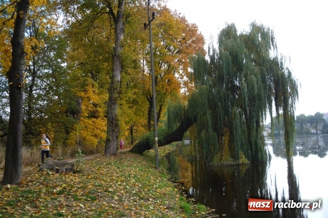 Zdjęcie w galerii na portalu naszraciborz.pl: Rejonowe Sztafetowe Biegi Przełajowe - w Tworkowie walczono o awans do finału wojewódzkiego  wiadomości z regionu