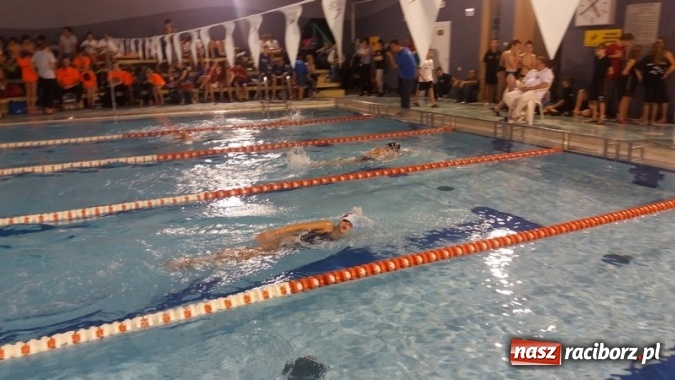 Zdjęcie w galerii na portalu naszraciborz.pl: Pływanie. Dobre starty w Lidze Klubów Śląskich  wiadomości z regionu