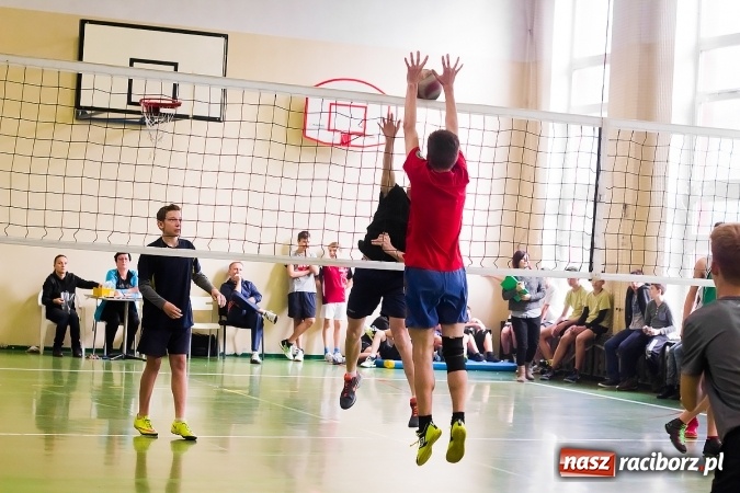 Zdjęcie w galerii na portalu naszraciborz.pl: Mistrzostwa Raciborza Szk&oacute;ł Gimnazjalnych w Dw&oacute;jkach Siatkarskich Chłopc&oacute;w wiadomości z regionu