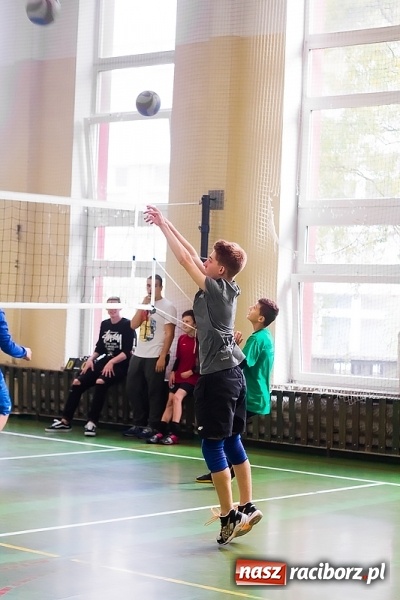 Zdjęcie w galerii na portalu naszraciborz.pl: Mistrzostwa Raciborza Szk&oacute;ł Gimnazjalnych w Dw&oacute;jkach Siatkarskich Chłopc&oacute;w wiadomości z regionu