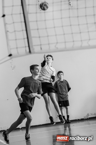 Zdjęcie w galerii na portalu naszraciborz.pl: Mistrzostwa Raciborza Szk&oacute;ł Gimnazjalnych w Dw&oacute;jkach Siatkarskich Chłopc&oacute;w wiadomości z regionu
