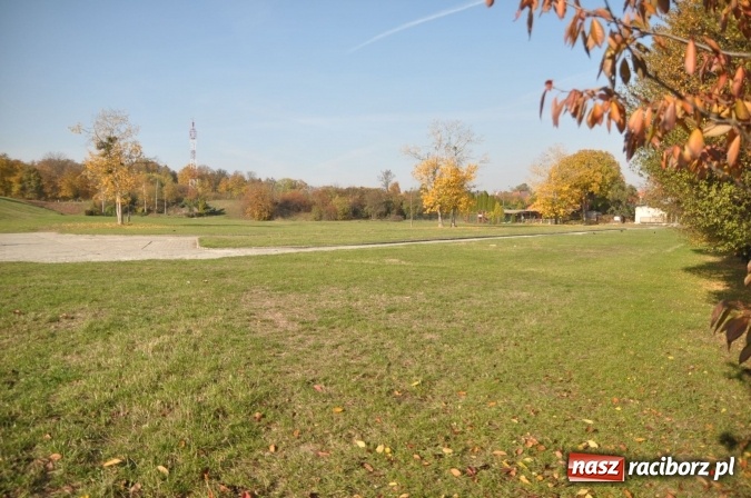 Zdjęcie w galerii na portalu naszraciborz.pl: Widmo sklepu z owadem w kropki - miasto nie sprzeda placu przy Jana Pawła II wiadomości z regionu