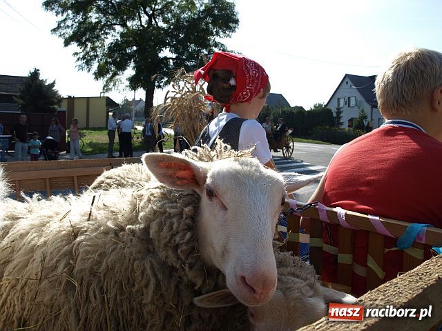 Zdjęcie w galerii na portalu naszraciborz.pl: Dożynki w STUDZIENNEJ wiadomości z regionu