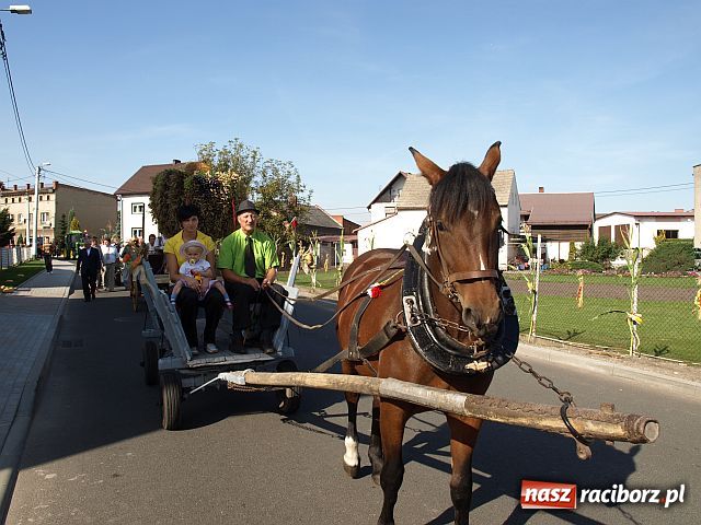 Zdjęcie w galerii na portalu naszraciborz.pl: Dożynki w STUDZIENNEJ wiadomości z regionu