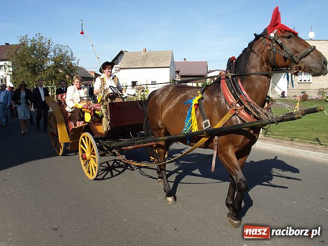 Zdjęcie w galerii na portalu naszraciborz.pl: Dożynki w STUDZIENNEJ wiadomości z regionu