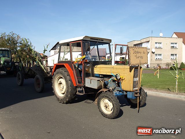 Zdjęcie w galerii na portalu naszraciborz.pl: Dożynki w STUDZIENNEJ wiadomości z regionu