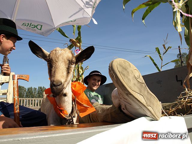 Zdjęcie w galerii na portalu naszraciborz.pl: Dożynki w STUDZIENNEJ wiadomości z regionu