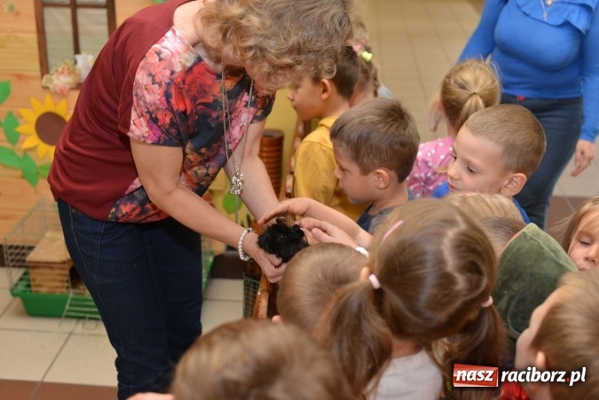 Zdjęcie w galerii na portalu naszraciborz.pl: Pięciolatki do szkół? Szkoła Podstawowa nr 18 uczy już najmłodszych… wiadomości z regionu