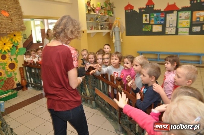 Zdjęcie w galerii na portalu naszraciborz.pl: Pięciolatki do szkół? Szkoła Podstawowa nr 18 uczy już najmłodszych… wiadomości z regionu