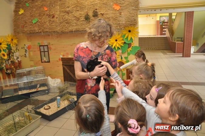 Zdjęcie w galerii na portalu naszraciborz.pl: Pięciolatki do szkół? Szkoła Podstawowa nr 18 uczy już najmłodszych… wiadomości z regionu