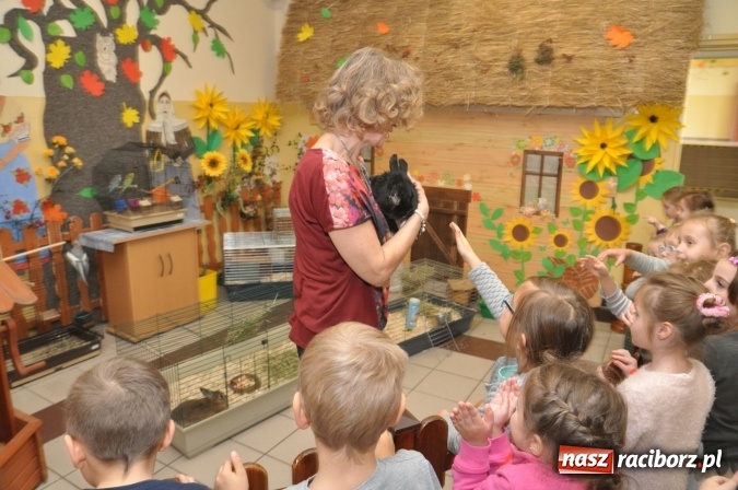 Zdjęcie w galerii na portalu naszraciborz.pl: Pięciolatki do szkół? Szkoła Podstawowa nr 18 uczy już najmłodszych… wiadomości z regionu