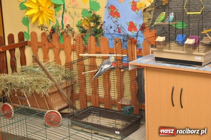 Zdjęcie w galerii na portalu naszraciborz.pl: Pięciolatki do szkół? Szkoła Podstawowa nr 18 uczy już najmłodszych… wiadomości z regionu