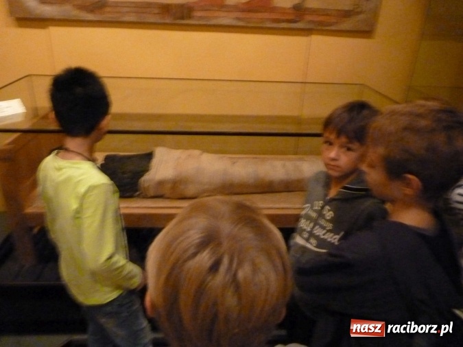 Zdjęcie w galerii na portalu naszraciborz.pl: Floorball Tiger-Magdeburg w Tworkowie  wiadomości z regionu