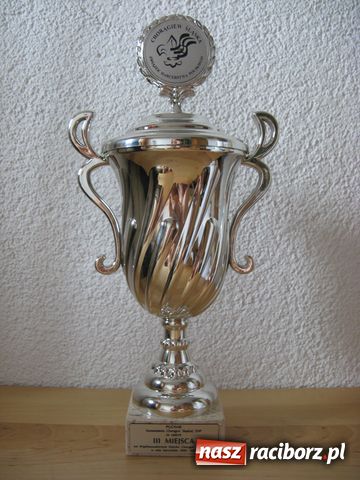 Zdjęcie w galerii na portalu naszraciborz.pl: Historyczny sukces harcerzy z Hufca Ziemi Raciborskiej wiadomości z regionu